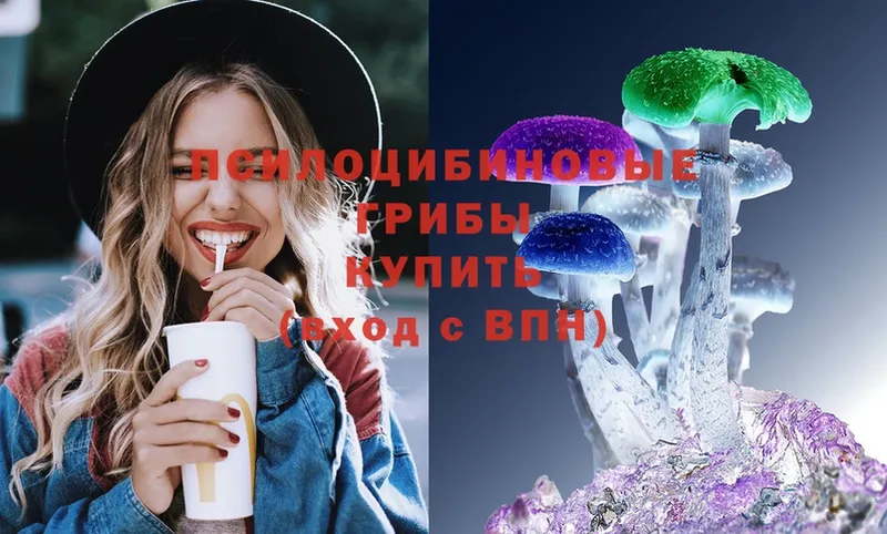 omg ССЫЛКА  Вытегра  Псилоцибиновые грибы мицелий 